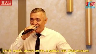 Download Nelu Bițina - Frunzulita foaie lata - Colaj Nou Ascultare 2020 MP3