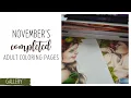 My November Completed Adult Coloring Pages