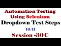 Selenium Session30-C Dropdown Test Steps