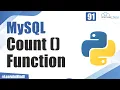 What is the Count Function in MySql and How to use it Python Tutorial