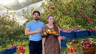 Finally The Wait Is Over || We're Back With The Surprise || Jyotika and Rajat