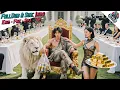 Download Lagu Pengemis Membawa Kayu Ke Pesta Dihina Ternyata Bos Mafia Membuat Semua Berlutut Memohon Ampun
