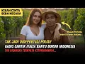 Download Lagu CINTA BURUH INDONESIA \u0026 GADIS ITALIA DITOLAK KELUARGA! Tapi Fakta Masa Lalu Rangga Mengejutkan Semua