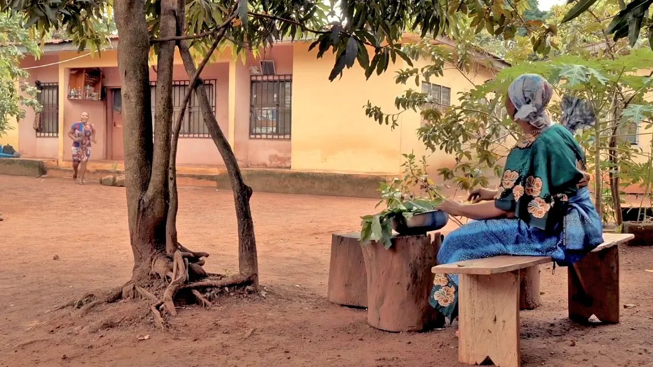 Try Your Best To Watch This Amazing Interesting — Nollywood (2025)