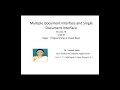 Multiple Document Interface and Single Document Interface