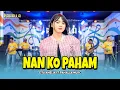 Lagu NAN KO PAHAM | Cita Amelia | Pahalla Music Official