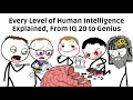 All 11 Levels of Intelligence - Where Do You Fall