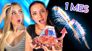 ¡CRIAMOS AQUADRAGONS DURANTE 1 MES Y ESTO ES LO QUE PASÓ! 😱
