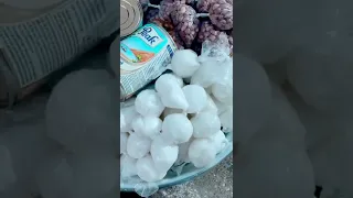 Oblayoo Major Ghanaian Breakfast Porridge Shorts 