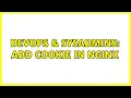 DevOps SysAdmins Add cookie in nginx