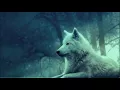 Tchami & Malaa - The Sermon
