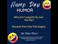 Hump Day Humor