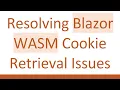 Resolving Blazor WASM Cookie Retrieval Issues