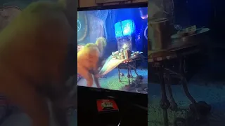 A Great Improv scene by Jim Carrey in the Grinch TikTok rider4z