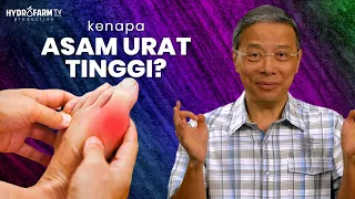 Kenapa ASAM URAT TINGGI..??