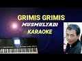 Download Lagu GRIMIS GRIMIS - MUSMULYADI