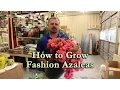 Download Lagu Hoe je Fashion Azalea's kweekt met een gedetailleerde beschrijving