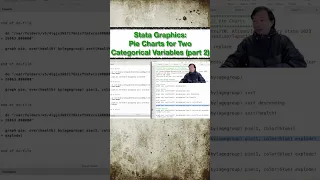 Pie Charts for Two Categorical Variables part 2 Stata Graphics
