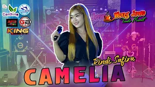 Download CAMELIA ~ RINDI SAFIRA WONGJOWO MADIUN x GB AUDIO LIVE UMBUL SQUARE MP3