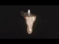 Binz - Gặp Lại Album | Official Visualizer