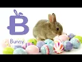 Easter ABC - Easter Alphabet Egg Hunt