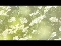 Chad Lawson - with you (solo piano)