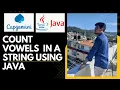 Count Vowels and Characters in a String using Java Java String Programs for Interviews