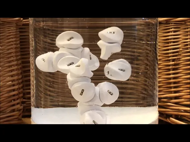 3D Printed Self-Assembling Cells video thumbnail
