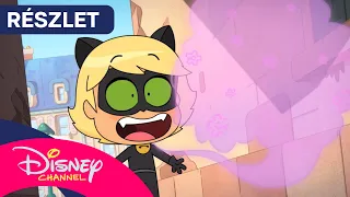 👃 Túltolt illat | Miraculous Chibi [RÉSZLET] | Disney Csatorna Magyarország