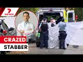 Dentist Steven Lin shot dead by police after attacking two women at Potts Point 7NEWS