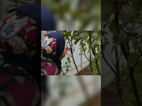 Обрезка плодовых деревьев 3 лайфхака от профи!