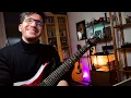 Ragheb Alama - Tab lih (Guitar Solo)