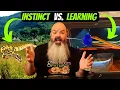 Snake Behavior Instinct vs Learned