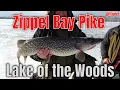 Ice Pike at Zippel Bay - Lake of the Woods