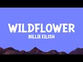 Billie Eilish - WILDFLOWER (Lyrics)