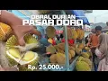 Lagu Cara pilih durian di Pasar Doro biar tidak kecewa|| 8 Januari 2029