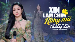 Xin Làm Chim Rừng Núi