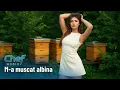 Lagu Chef Music - M-a muscat albina (Official Audio)