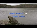 Download Lagu TOWAL TOWEL NAIF Indonesian Malay Karaoke