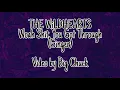 THE WiLDHEARTS - Woah Shit, You Got Through (Lyric Video)