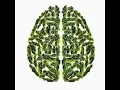 Weed GIF