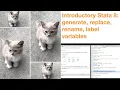 Introductory Stata 8 Generate replace rename label variables