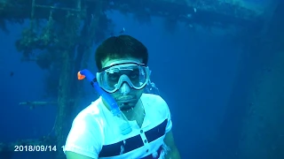 شاهد متعة الغطس الحر السفينة الغارقة العقبة Free Diving 