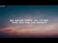 Calum Scott - You Are The Reason (Lyrics)
