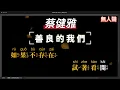 蔡健雅 - 善良的我們     無人聲伴奏KTV字幕+Mandarin+Pinyin