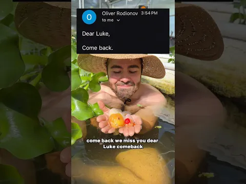 What happened to Luke’s Goldies???