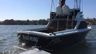Bertram 25 with mercruiser 496ho 8 1L vid 2