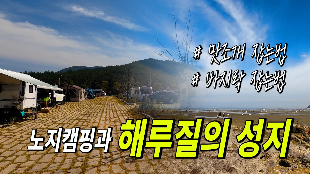 무료 노지캠핑의 성지 해루질의 성지 맛조개,바지락 잡는법 | 화장실 특A급 サムネイル