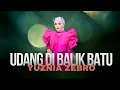 Download Lagu UDANG DIBALIK BATU - YUZNIA ZEBRO | MARDATILA GROUP