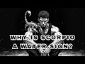 What Makes Scorpio a Water Sign And Why It Matters
